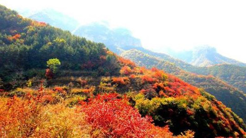 太行红叶大峡谷景区要门票吗