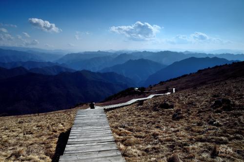 紫柏山在哪