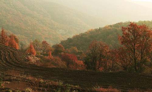 子午岭在哪里