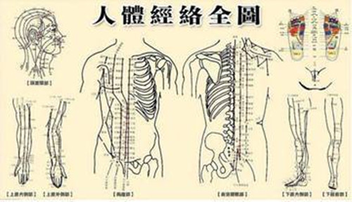 经络辨证简介