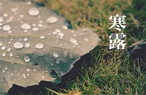 寒露时节怎么养生