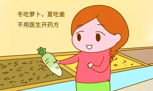 冬吃萝卜夏吃姜的功效和作用