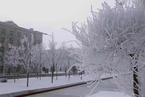 冰凌是什么意思