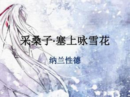 《采桑子·塞上咏雪花》翻译与赏析