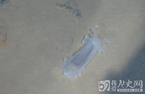 蛟龙号载人潜水器7000米级海试成功