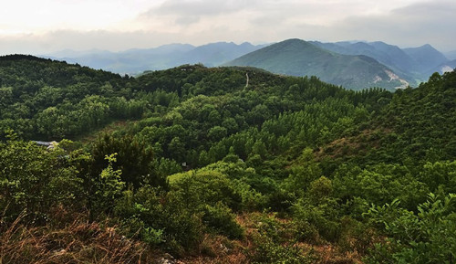 定军山的地理环境