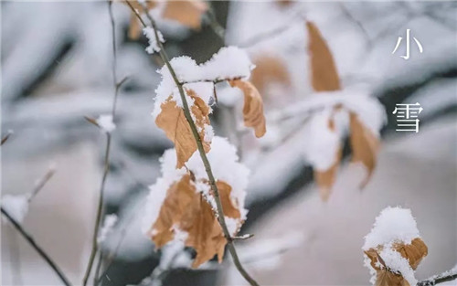 小雪节气吃什么